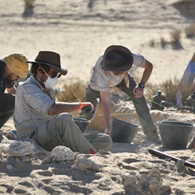 Excavating at Al Wusta. Photo by Klint Janulis